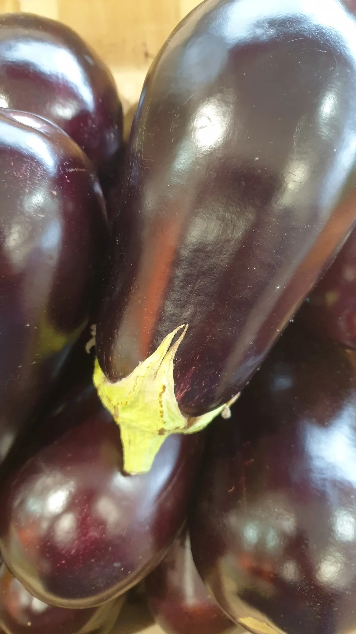 Aubergines