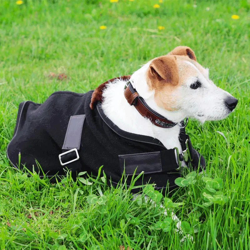 Diego & Louna - Couverture pour chien polaire Teddy noir