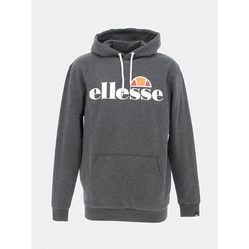 À saisir - Sweat à capuche basic logo gris homme - Columbia | wimod